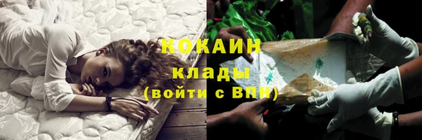 ешки Аркадак