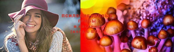 ешки Аркадак