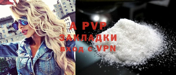 молекула духа Бородино