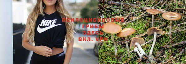 марки nbome Баксан