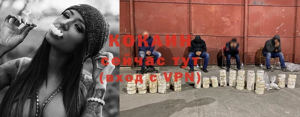 ПСИЛОЦИБИНОВЫЕ ГРИБЫ Арсеньев