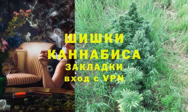 ПСИЛОЦИБИНОВЫЕ ГРИБЫ Арсеньев