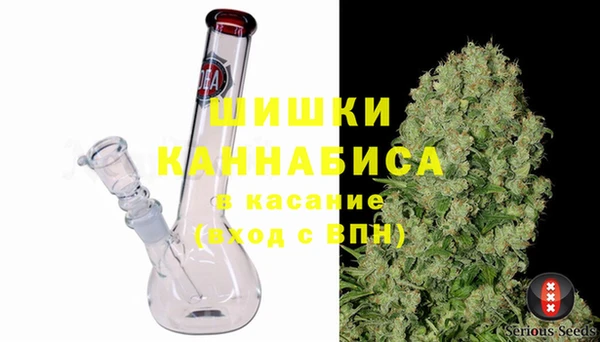 ПСИЛОЦИБИНОВЫЕ ГРИБЫ Арсеньев