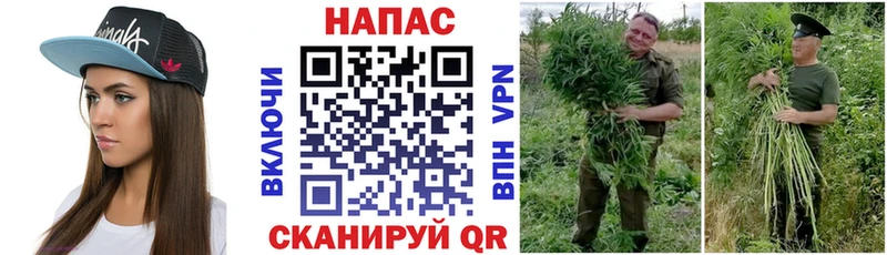 Конопля тримм  Дюртюли 